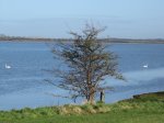 Broadmeadow Estuary, Malahide