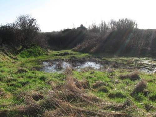 Quarry_Caves_Marsh