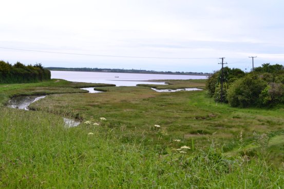 Cave's Marsh, Yellow Walls, Malahide