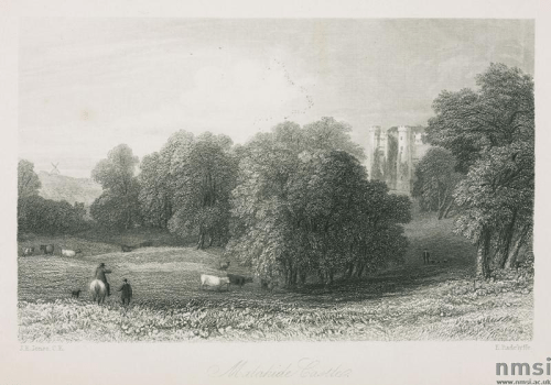 Herd at Malahide Demesne