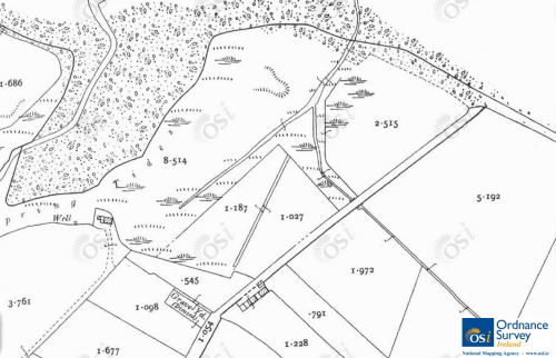 Salt Works' channels shown in late 19th/early 20th century map. © Ordnance Survey Ireland/Government of Ireland.5