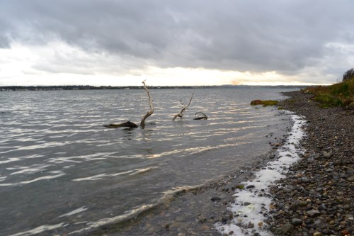 Broadmeadow_Northern_Shore